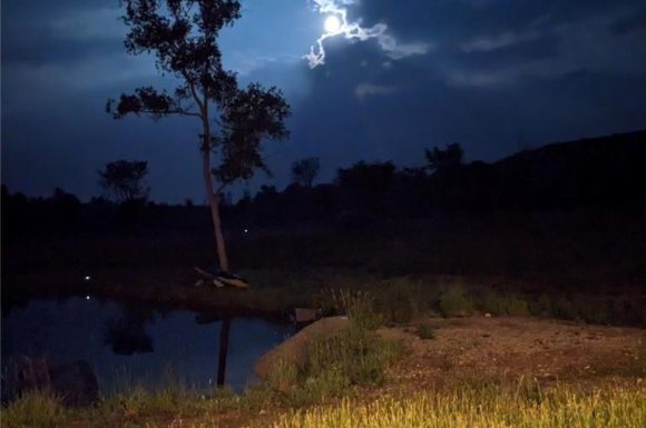 July 2025 Market Recap: Around the World in 30 Days