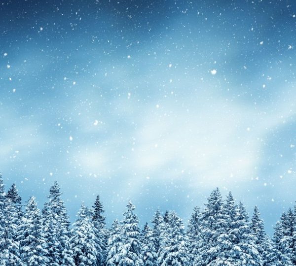 December 2025 Market Recap: Around the World in 30 Days: