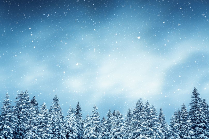 December 2025 Market Recap: Around the World in 30 Days:
